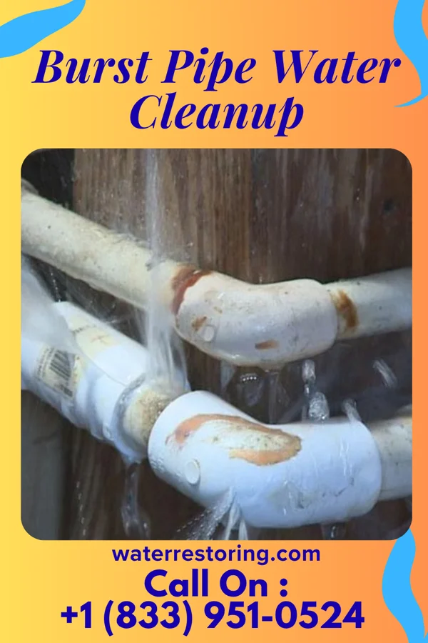 Burst Pipe Water Cleanup in Prestonville, KY