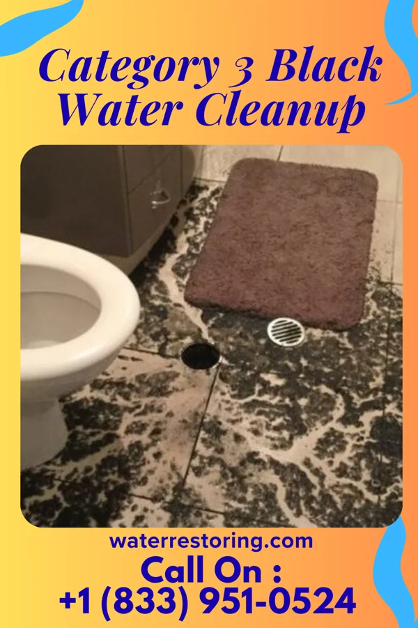 Category 3 Black Water Cleanup in Prestonville, KY