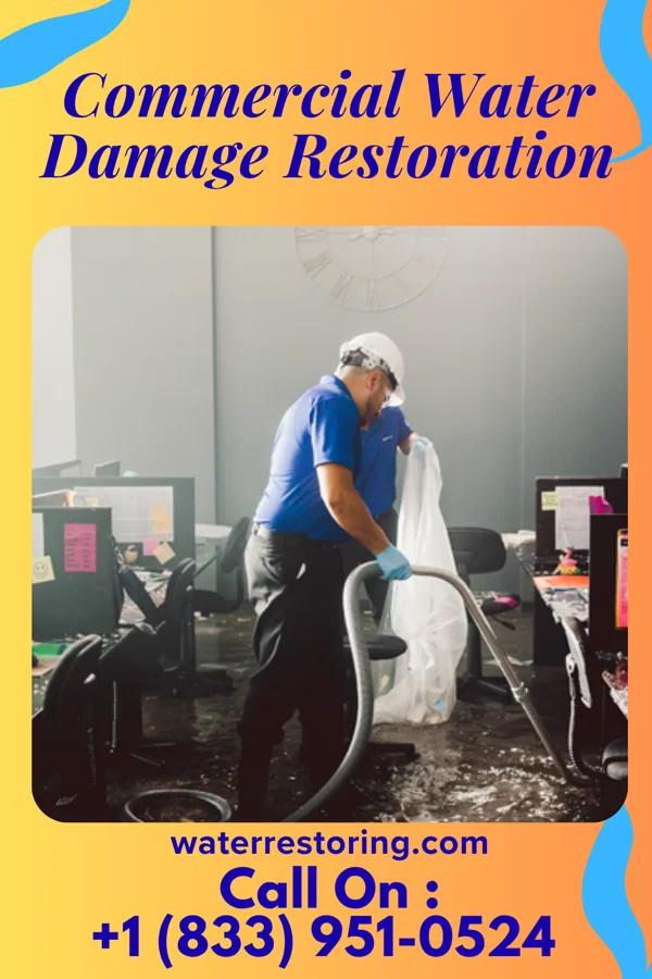 Commercial Water Damage Restoration in Prestonville, KY