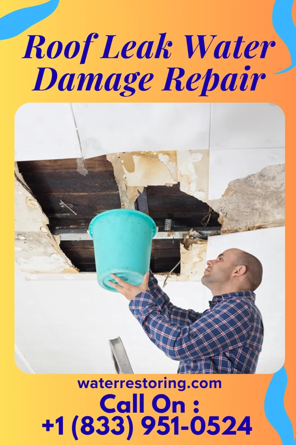 Roof Leak Water Damage Repair in Prestonville, KY