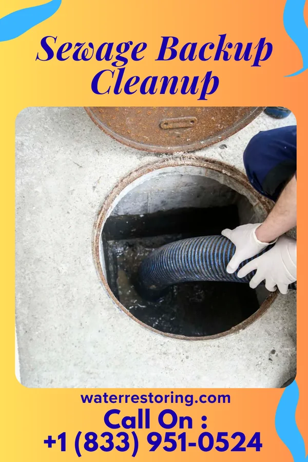Sewage Backup Cleanup in Prestonville, KY