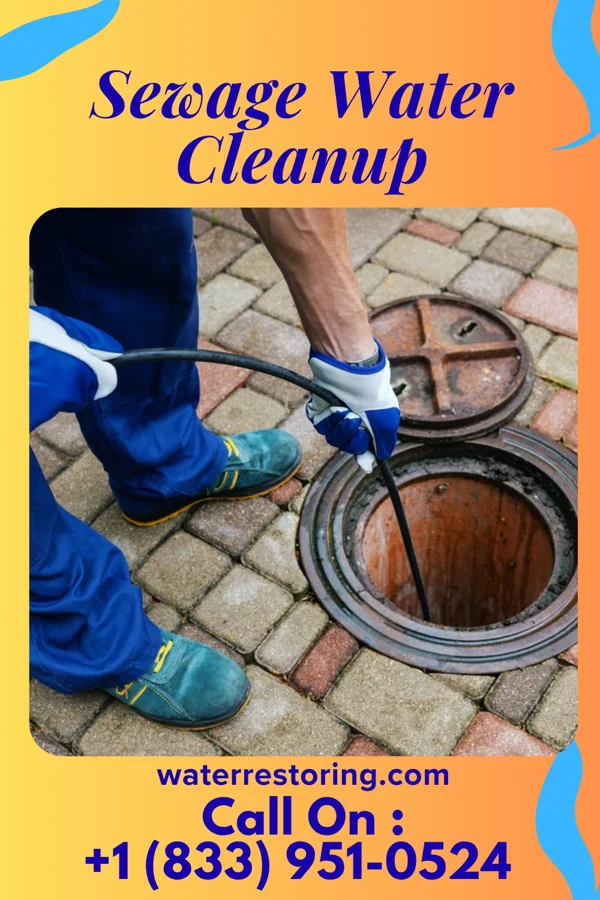 Sewage Water Cleanup in Prestonville, KY